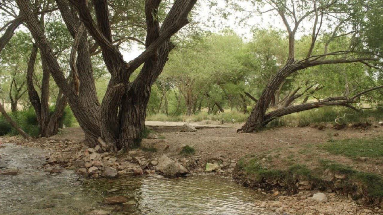 چشمه نهر مسیح هرات از زیباترین چشمه یزد