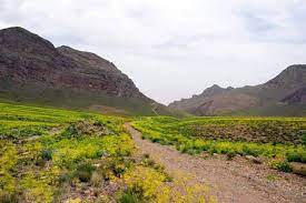 دره ادرشک در شهر مهریز یزد