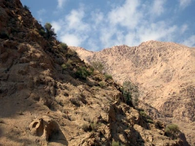 راهنمای مناطق حفاظت شده یزد