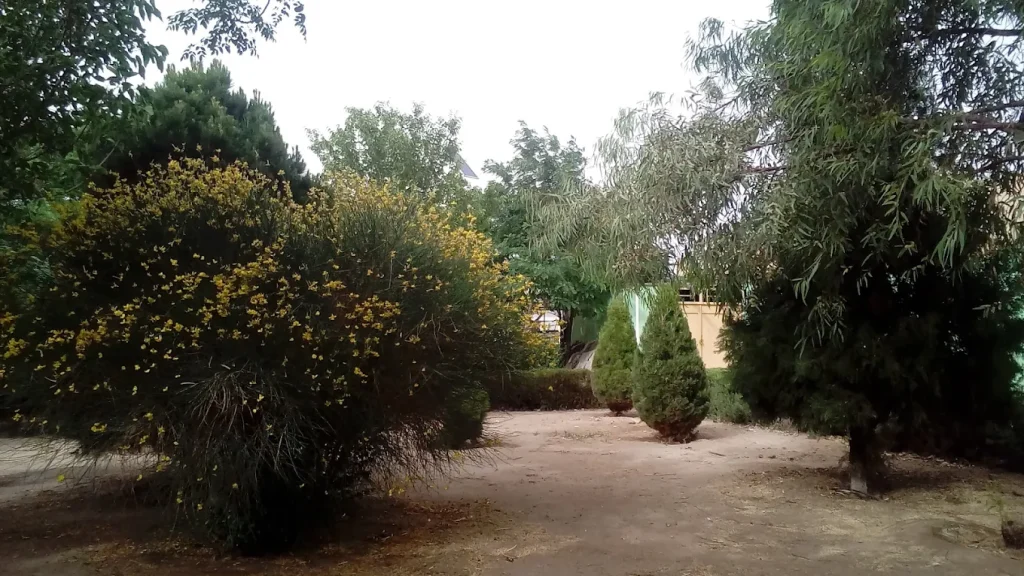 پارک آزادشهر پارکی ارام در شهر یزد