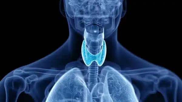 بهترین دکتر غدد یزد